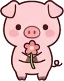 Pig sticker